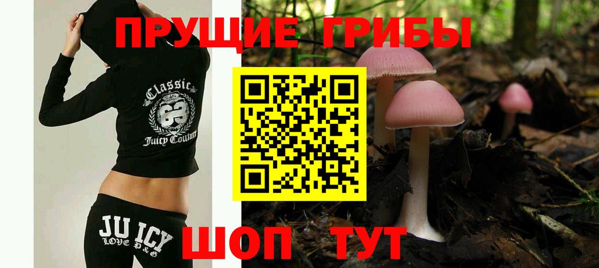 Псилоцибиновые грибы мицелий Трёхгорный