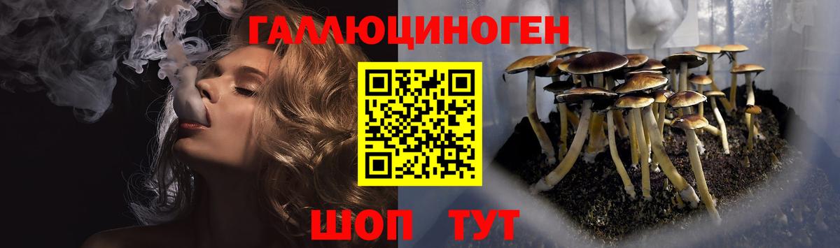Трёхгорный  Галлюциногенные грибы GOLDEN TEACHER  Вход с VPN 